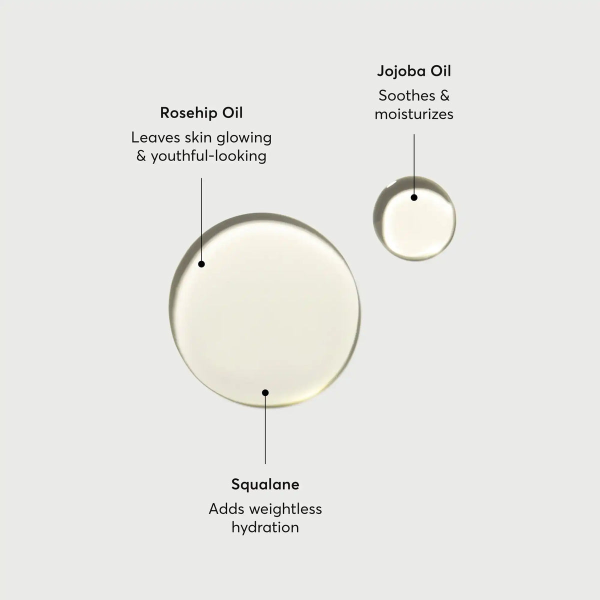 the-glow-getter-body-oil-i1 NATR-10115-Alt-Images-The-Glow-Getter-Body-Oil-01.webp