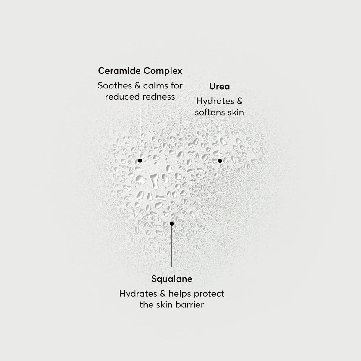 barrier-bounce-bi-phase-mist-n7 NATR-10167-Alt-Images-Barrier-Bounce-Bi-Phase-Toner-Mist_01.webp
