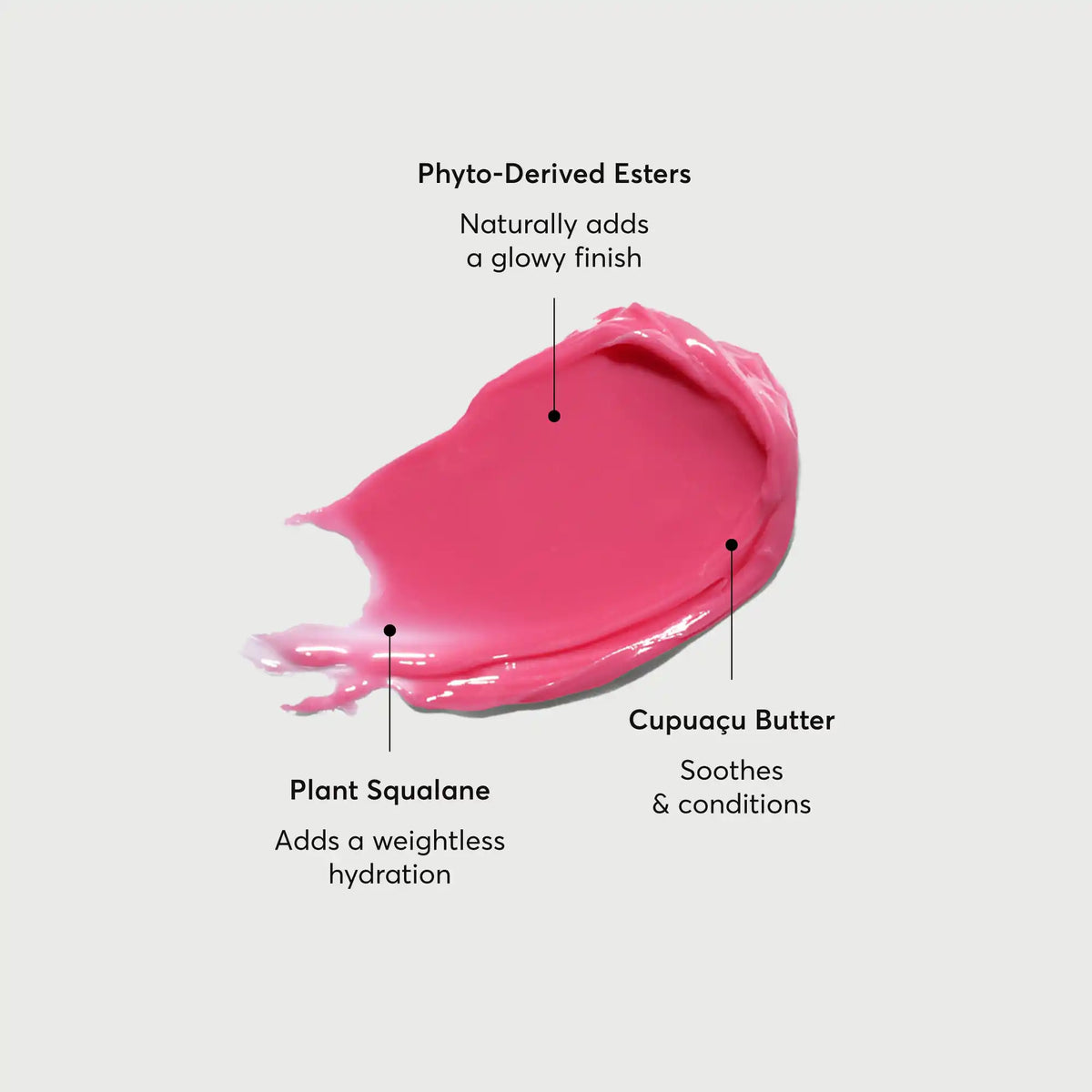 phyto-glow-lip-balm-camellia-x6 NATR-60075-Alt-Images-Phyto-Glow-Lip-Balm-Camellia-01.webp