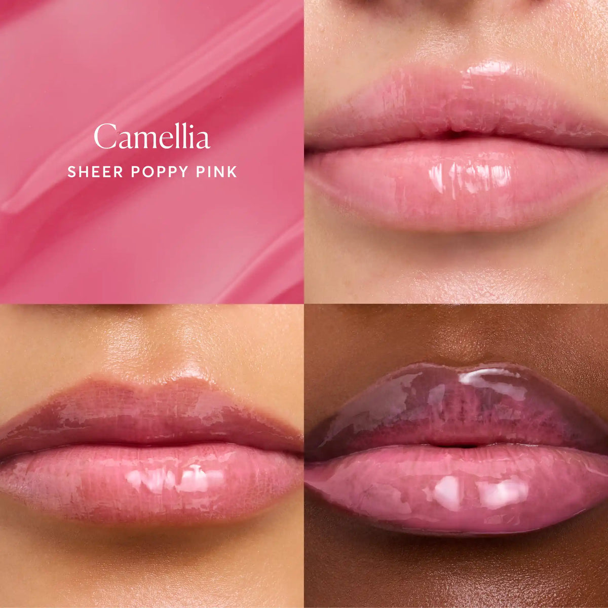 phyto-glow-lip-balm-camellia-x6 NATR-60075-Alt-Images-Phyto-Glow-Lip-Balm-Camellia-05.webp